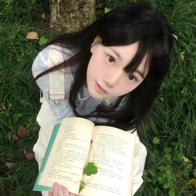 布里斯比熊